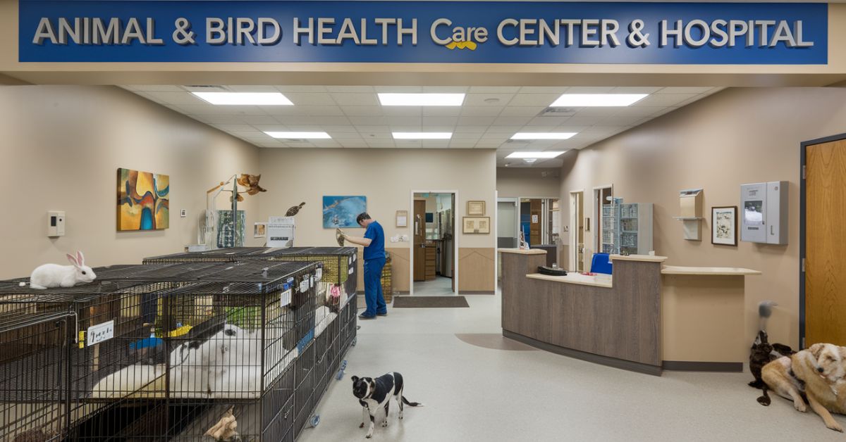 Animal & Bird Health Care Center & Hospital